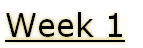 Week 1